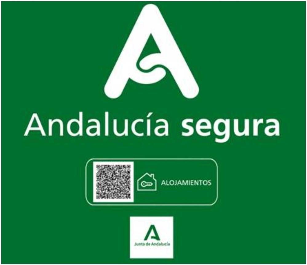 Todosierranevada Zona Baja - Edificio Alhambra - Junto A Los Telecabinas Sierra Nevada Exterior foto